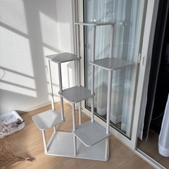 売約済み　
棚の画像