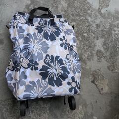 キャリーバッグの画像