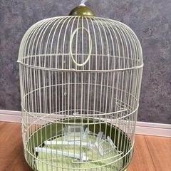 インコ【ほぼ新品】鳥かご　ゲージ　バードケージ　インコ　　　　　　の画像