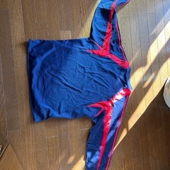 サッカートレーニングウェアスペイン代表🇪🇸の画像