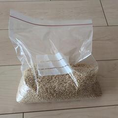 玄米　1kg 　古米