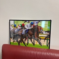 競馬🏇ドウデュース号2024天皇賞（秋）
A2サイズ63×43ポスターフレーム付の画像