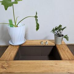 【限定２台】メダカビオトープBOX・小さな家庭菜園BOXの画像