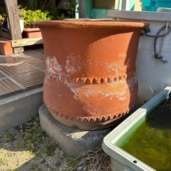 まだあります〜　大きい鉢　