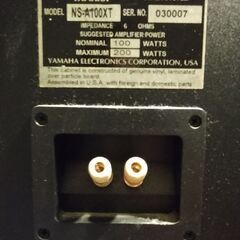 ★美品　ヤマハ　YAMAHA　 NS-A100XT　スピーカー（2台セット）!の画像