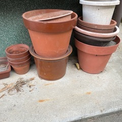 植木鉢小さめ　約30個以上あると思います。家にあるのすべて