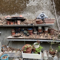 植木鉢小さめ　約30個以上あると思います。家にあるのすべての画像