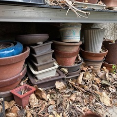 植木鉢小さめ　約30個以上あると思います。家にあるのすべての画像