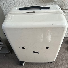ミッフィーのスーツケース