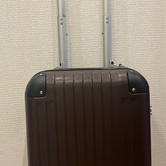ミニサイズのキャリーケース