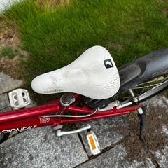 ルイガノ　子供用自転車　20インチ　の画像