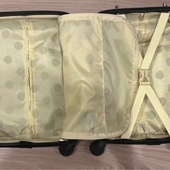ミニサイズのキャリーケースの画像