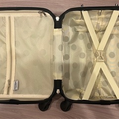 ミニサイズのキャリーケースの画像