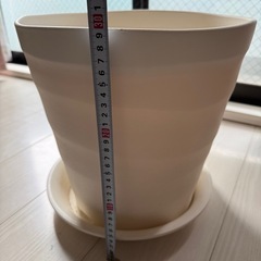 鉢の画像