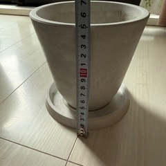 鉢
の画像