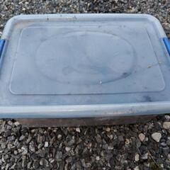 硬いクヌギのバクテリア材の画像