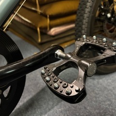 【2024年モデル】　Tern ターン　ミニベロ　自転車　AMP Ｆ１の画像