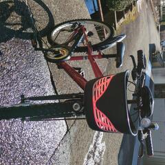 子供用自転車　REVOBIKE 24インチ 6段変速　SHIMANOの画像