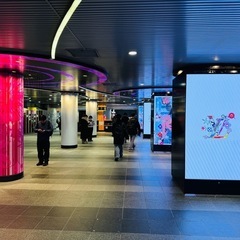 【13時から】1/25(土)渋谷を立体的散策！！ − 東京都
