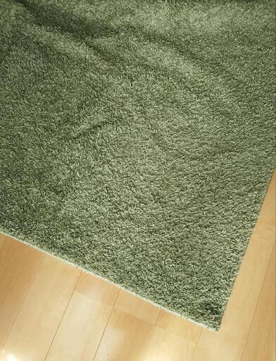 カーペット　緑　190×240cm
