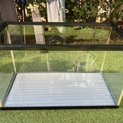 60センチ水槽セット