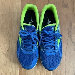 スニーカー　ミズノ　メンズ　26cm