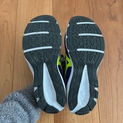 スニーカー　ミズノ　メンズ　26cmの画像