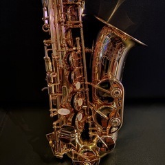 MARCATOアルトサックスAL900GLの画像
