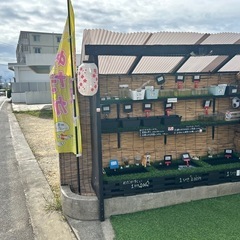 ミナミヌマエビすくい　auペイ使えますの画像