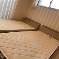 美品> 主人公&タナトス SP 結城理 サイン