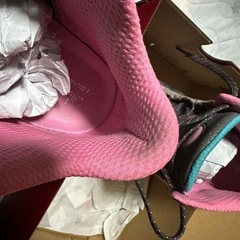 バッシュの画像