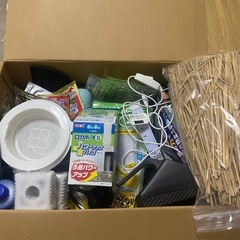 【取引決定】水槽飼育セットの画像