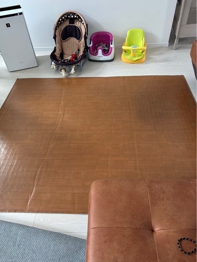 4万程度の電気カーペットPanasonic ホットカーペット DC-25G1 高品質 4