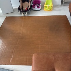 4万程度の電気カーペットPanasonic ホットカーペット DC-25G1の画像