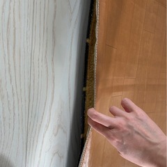 4万程度の電気カーペットPanasonic ホットカーペット DC-25G1の画像