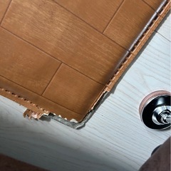 4万程度の電気カーペットPanasonic ホットカーペット DC-25G1の画像