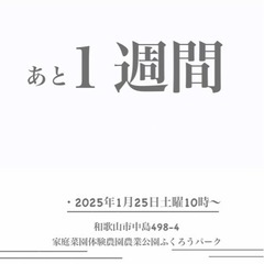 家庭菜園体験農園農園