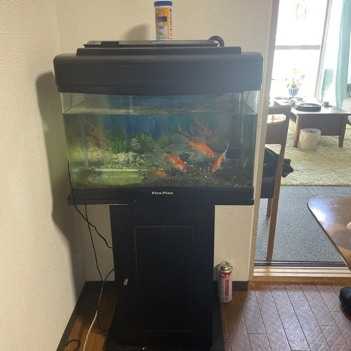 水槽セット
