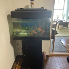 水槽セット
