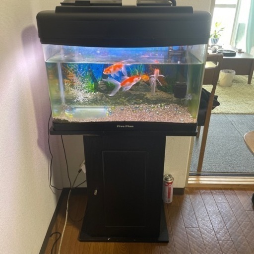 水槽セット