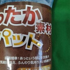 ★新品未使用品★あったか素材・枕パット★の画像