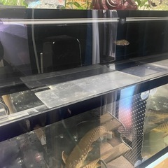 1200 リフジウム水槽