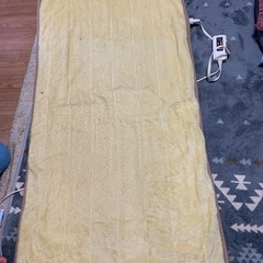 ごろ寝ヒーターマットの画像