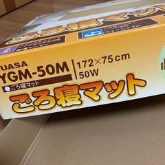 ごろ寝ヒーターマットの画像