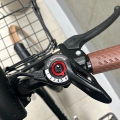 GRAPHIS 折りたたみ自転車 20インチの画像