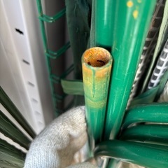 受け渡し予定あり　ビニールハウス　特大の画像