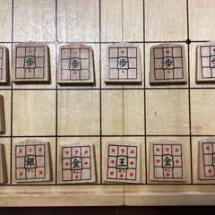 将棋セット　公文式　初心者にも
の画像