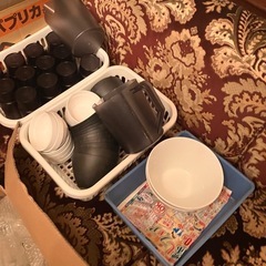 飲食店食器の画像