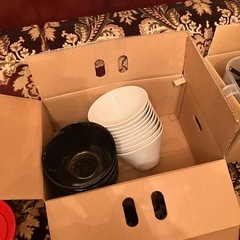 飲食店食器の画像