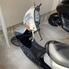 AF35 dio 原付　50ccの画像